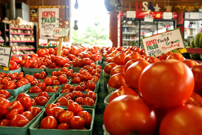 jersey tomatoes